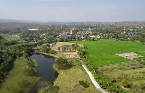 ขายที่ดินสวยริมทะเลสาบ อ.แม่ริม