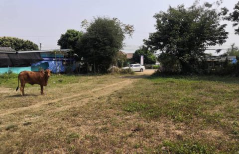 ขายที่ดิน แม่เตาไห