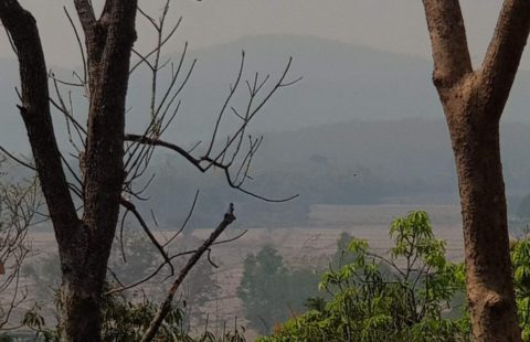 ขายที่ดินเป็นเนินเขาวิวสวย