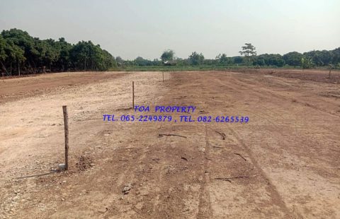 ขายด่วน ที่ดินเปล่า แปลงสวย แบ่งขาย เขตสารภี เชียงใหม่