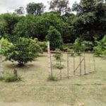 ที่ดินเปล่าถมแล้ว ที่สวยมาก เชียงใหม่